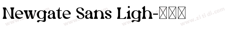 Newgate Sans Ligh字体转换